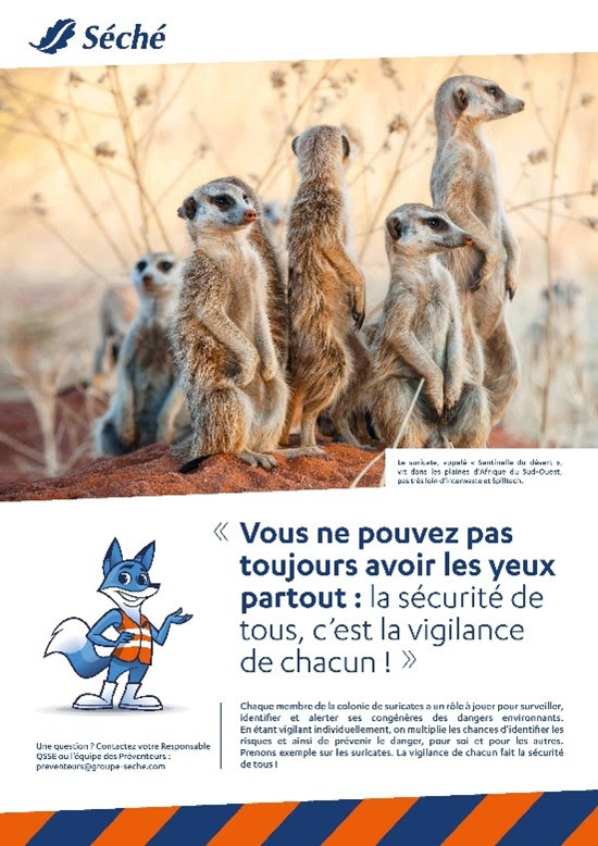 Quand sécurité rime avec biodiversité
