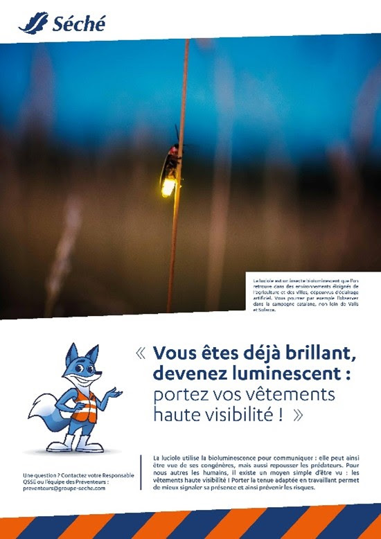 Quand sécurité rime avec biodiversité