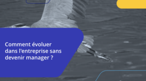 Comment évoluer dans l'entreprise quand on ne souhaite pas manager