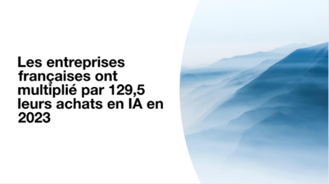 Les entreprises françaises ont multiplié par 129,5 leurs achats en IA en 2023