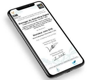 IIM - blockchain