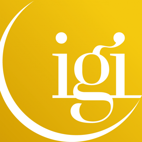  Institut IGI