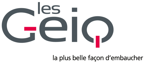  www.lesgeiq.fr