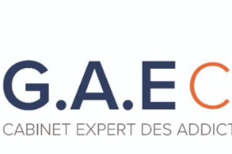 GAE Conseil