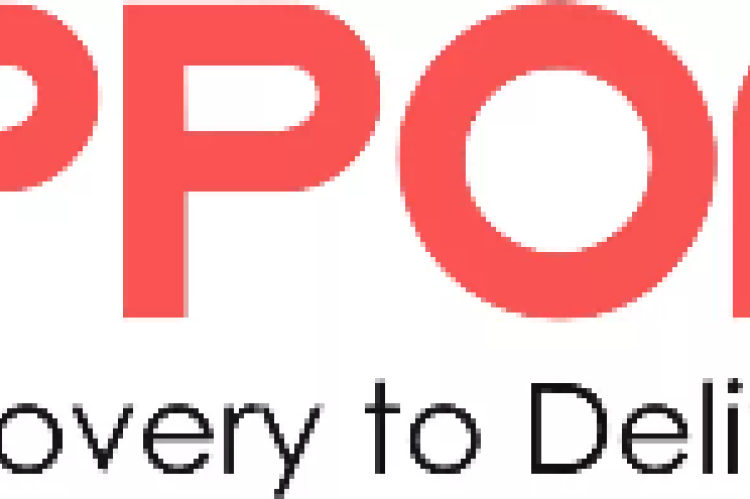 Ippon Technologies