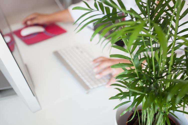 Lancement du label RemoteFriendly
