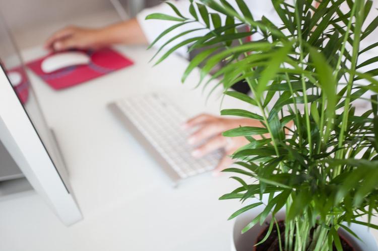 Etude Atlassian : Télétravailler depuis son lieu de vacances, une tendance possible grâce à une collaboration numérique renforcée