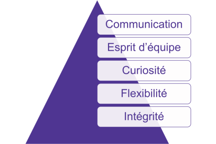 Etude Anywr : Top 5 des power skills les plus demandés par les employeurs