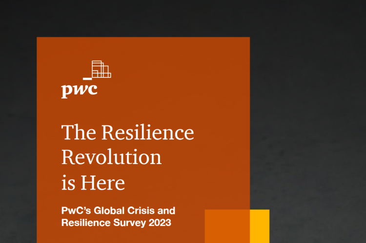 Crise et résilience : comment les dirigeants d'entreprises se réinventent-ils ?
