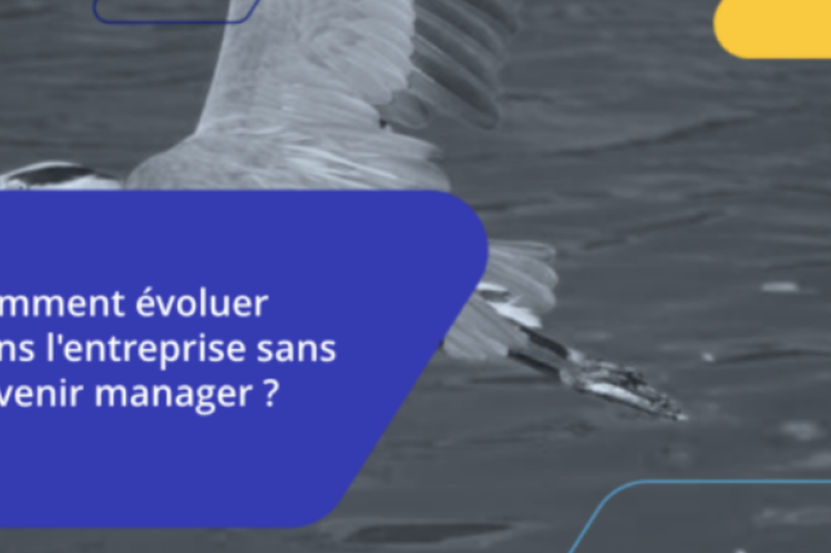 Comment évoluer dans l'entreprise quand on ne souhaite pas manager