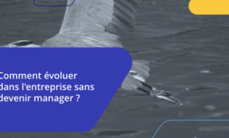 Comment évoluer dans l'entreprise quand on ne souhaite pas manager